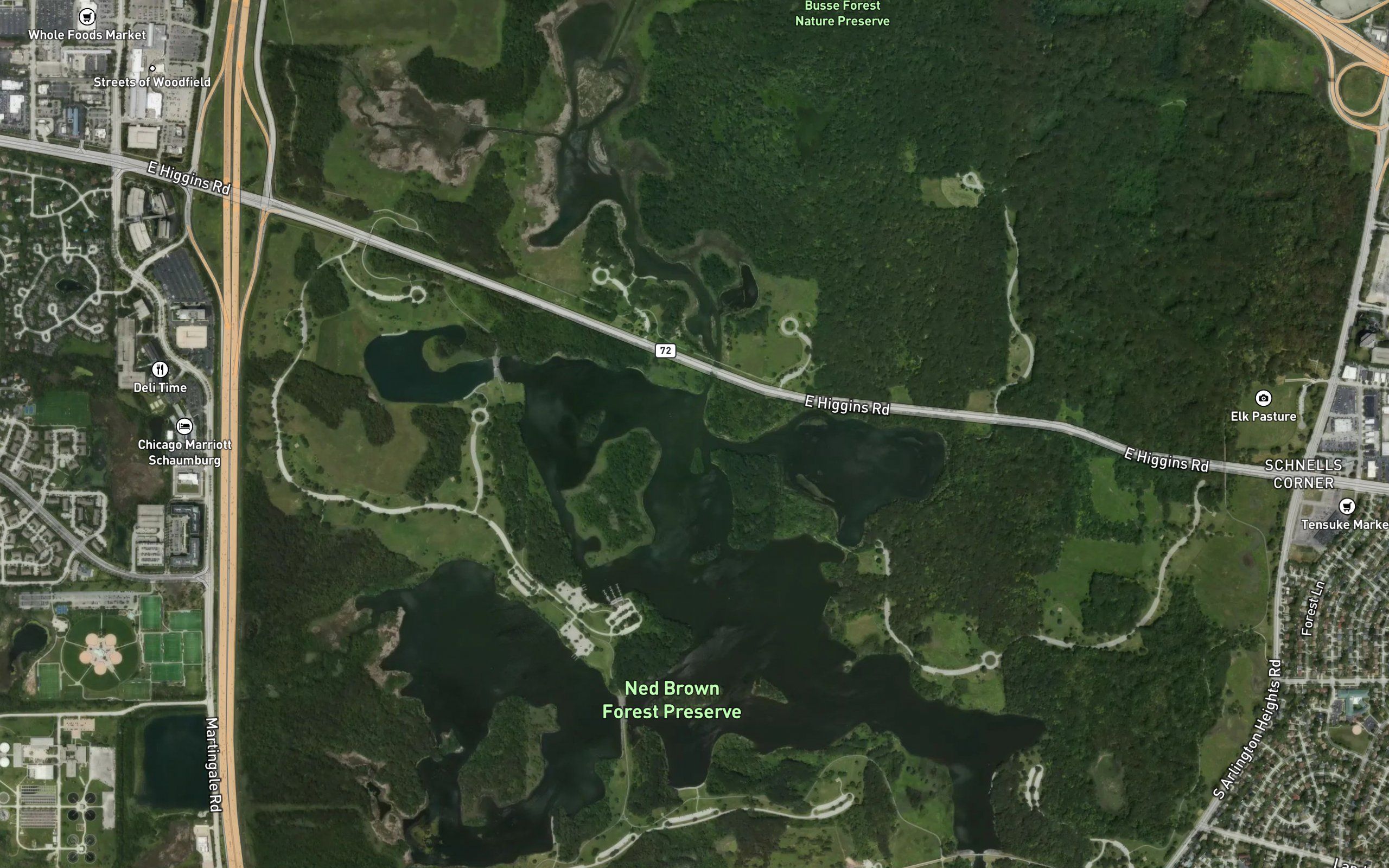 Busse Lake