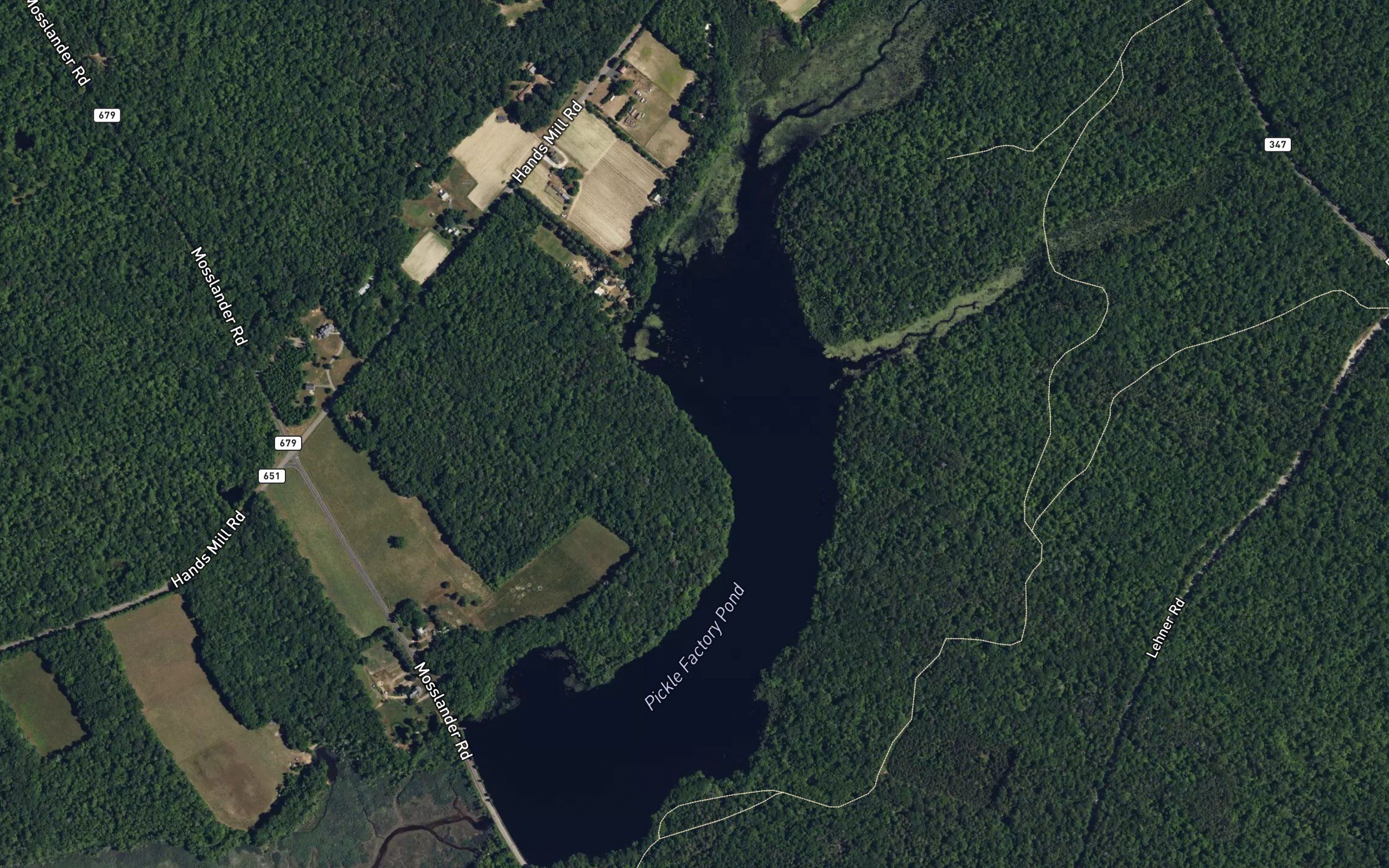 Pickle Factory Pond