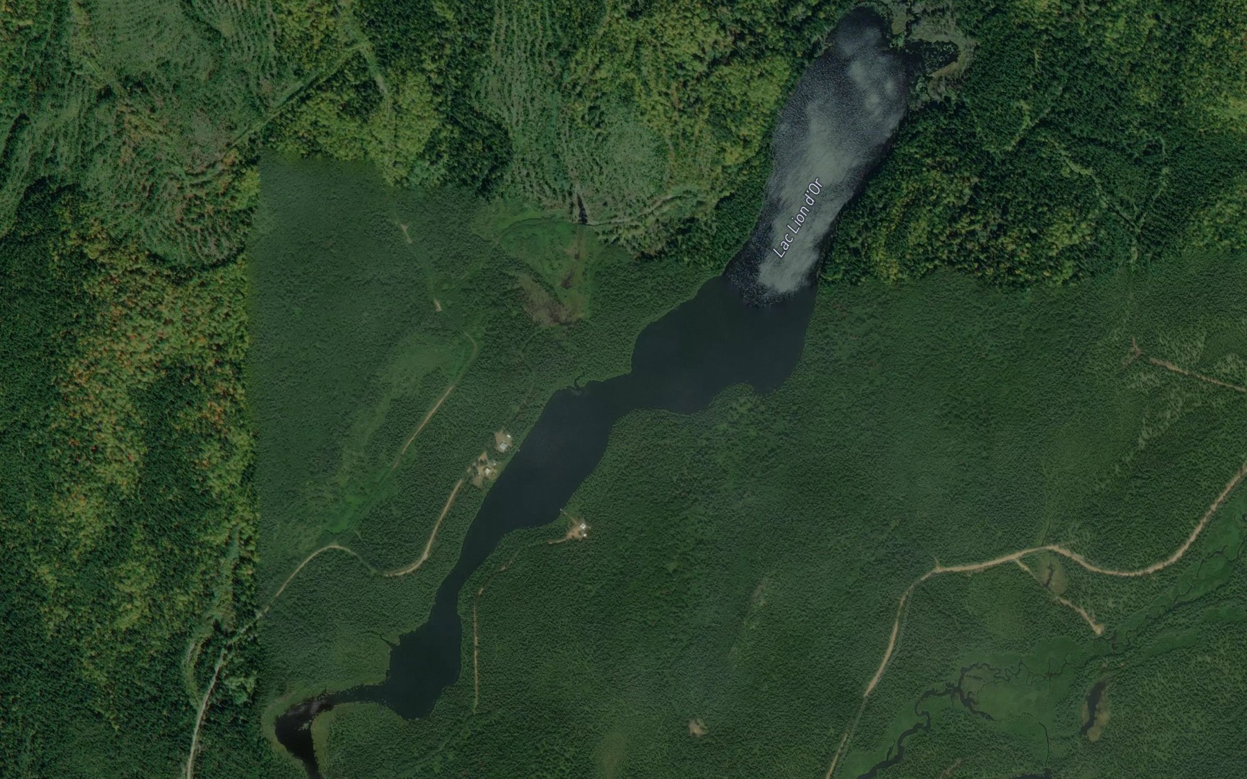 Satellite map of the Lac Lion d'Or