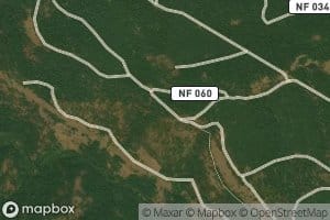 Luger Spring