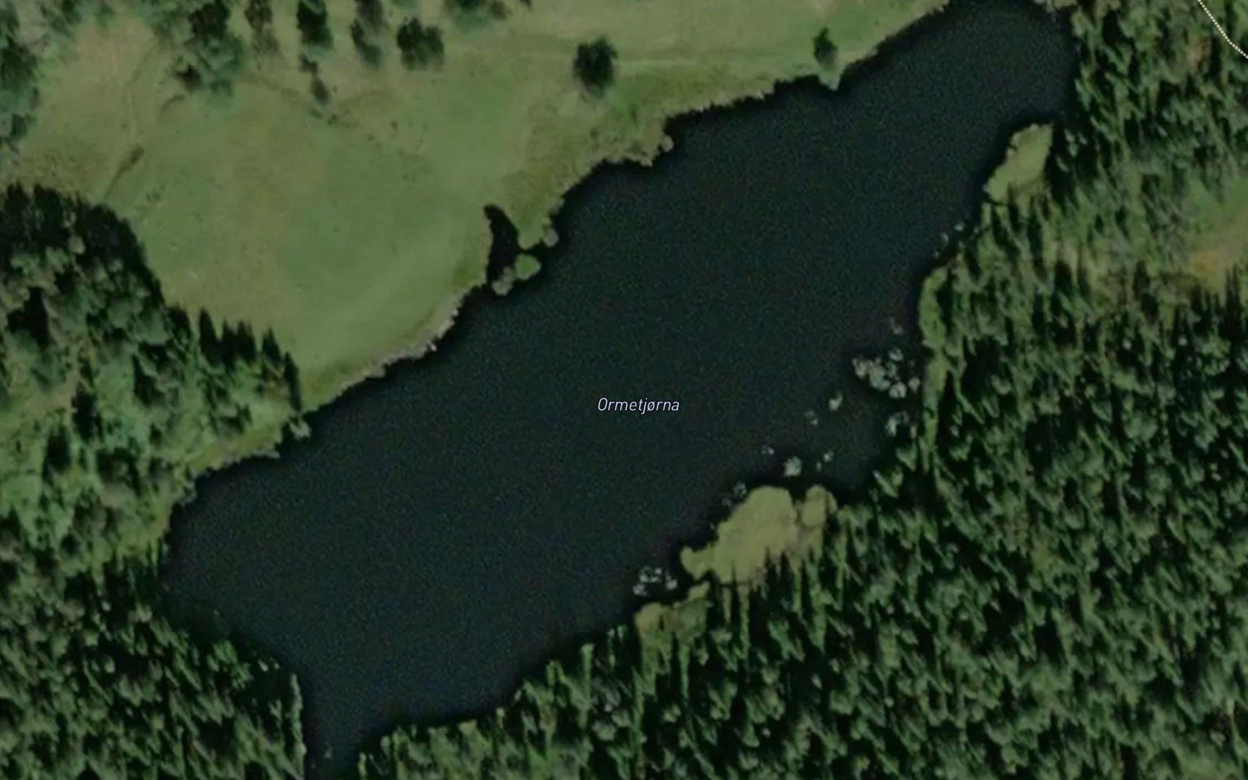 Ormetjonn