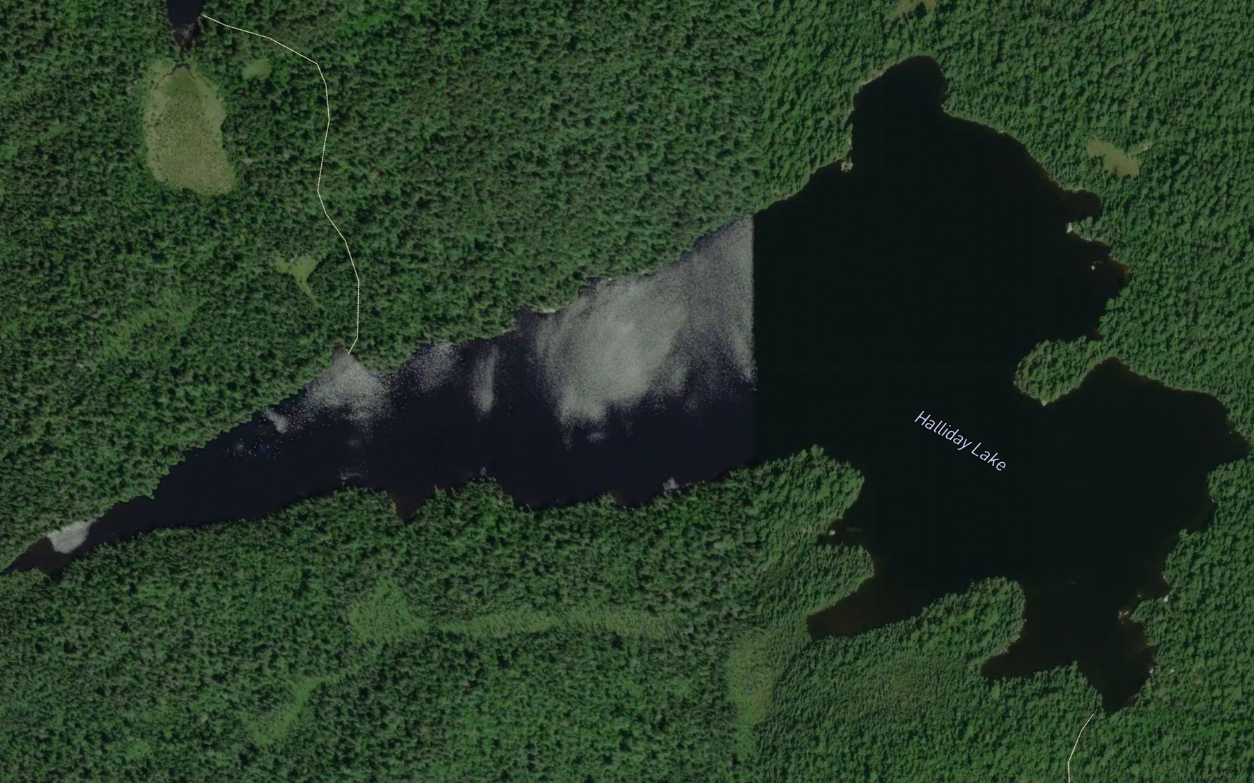 Satellite map of the Halliday Lake