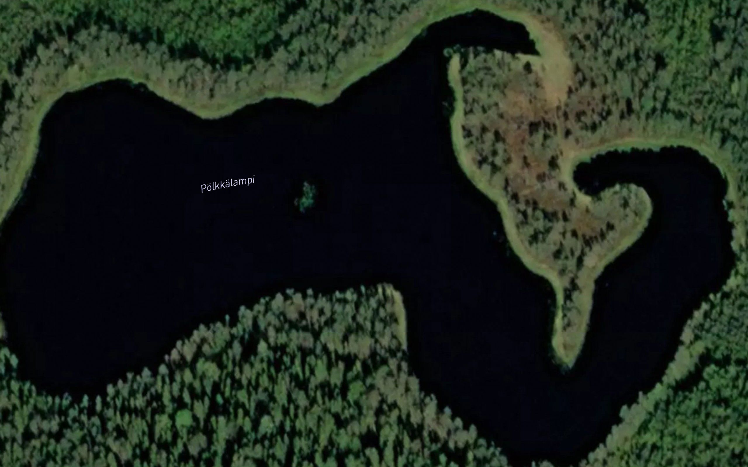 Polkkalampi