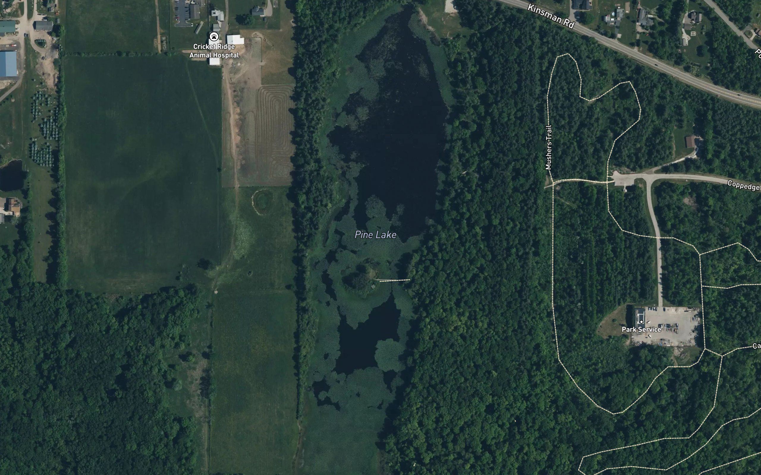 Pine Lake