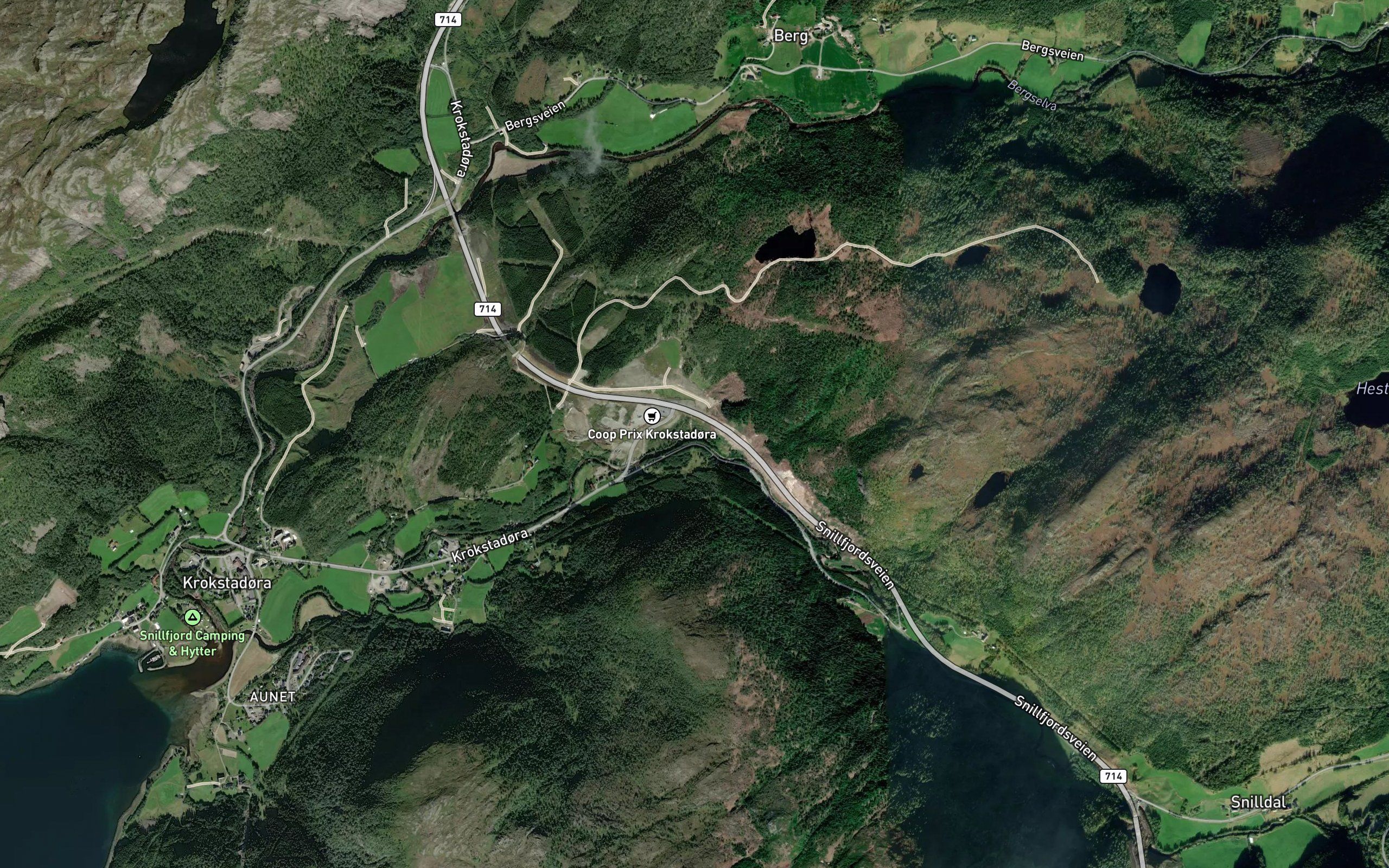 Selfossen