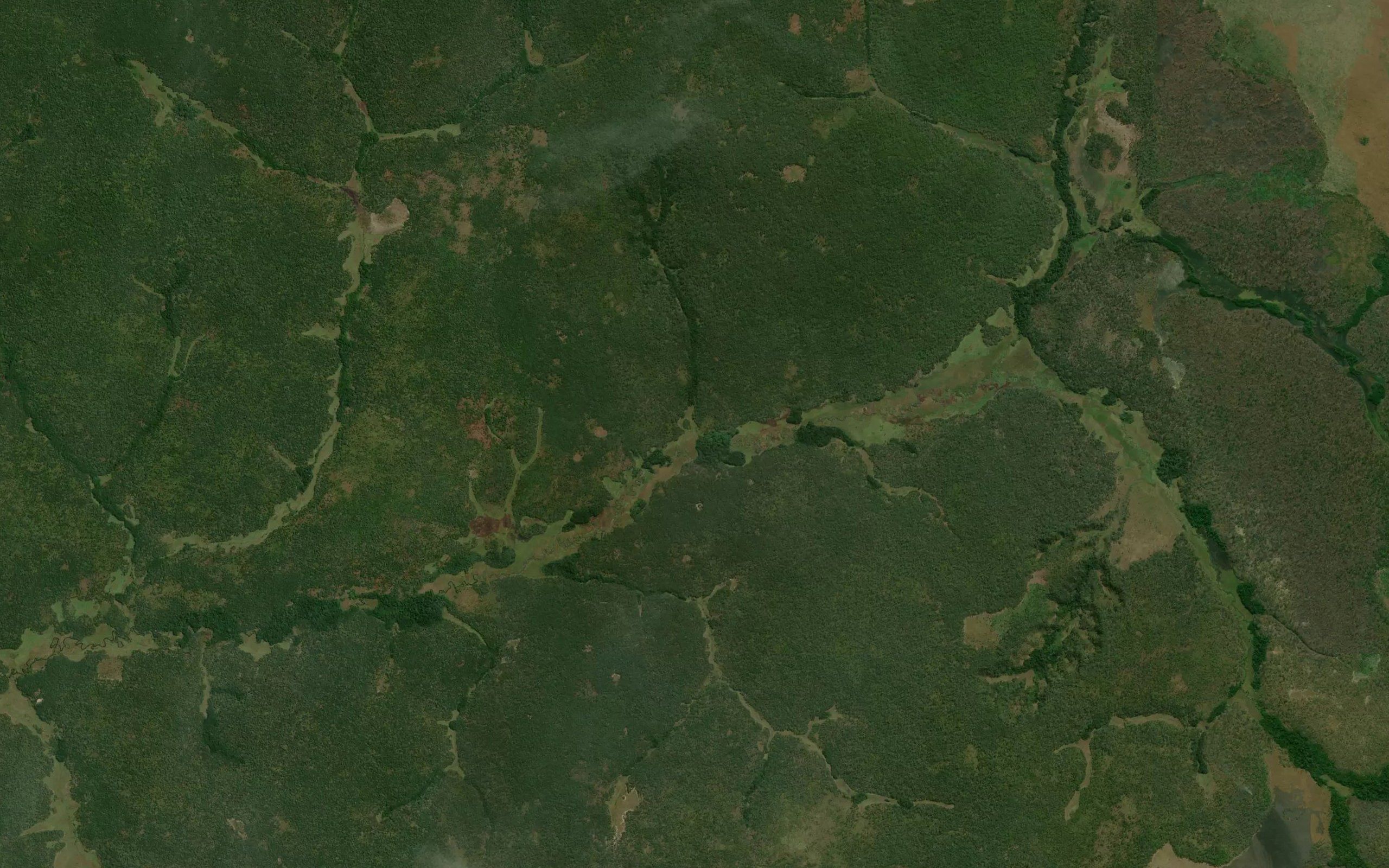 Capemba