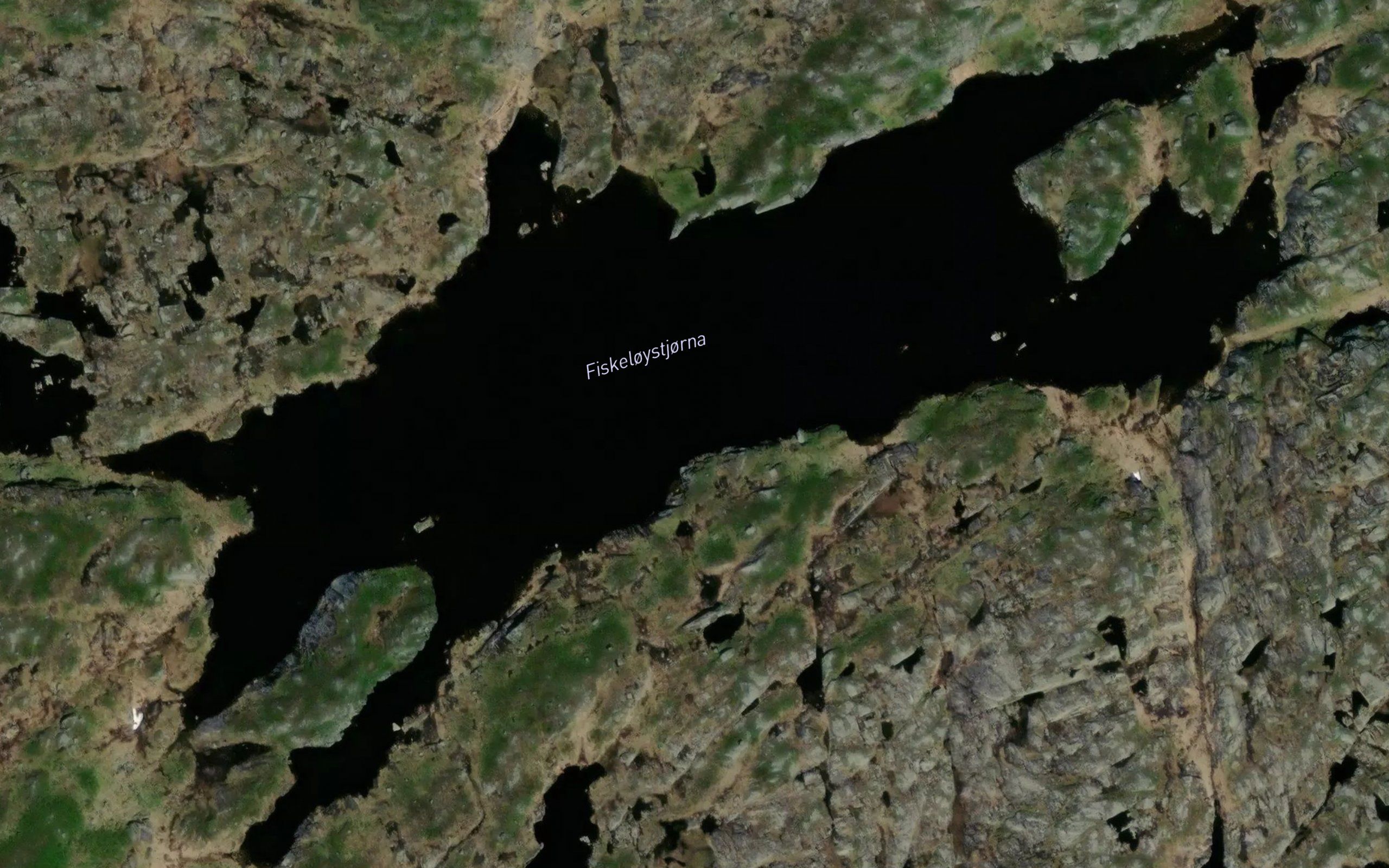 Fiskeloystjorna