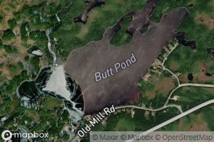Butt Pond