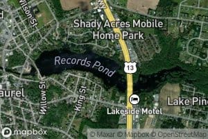 Records Pond