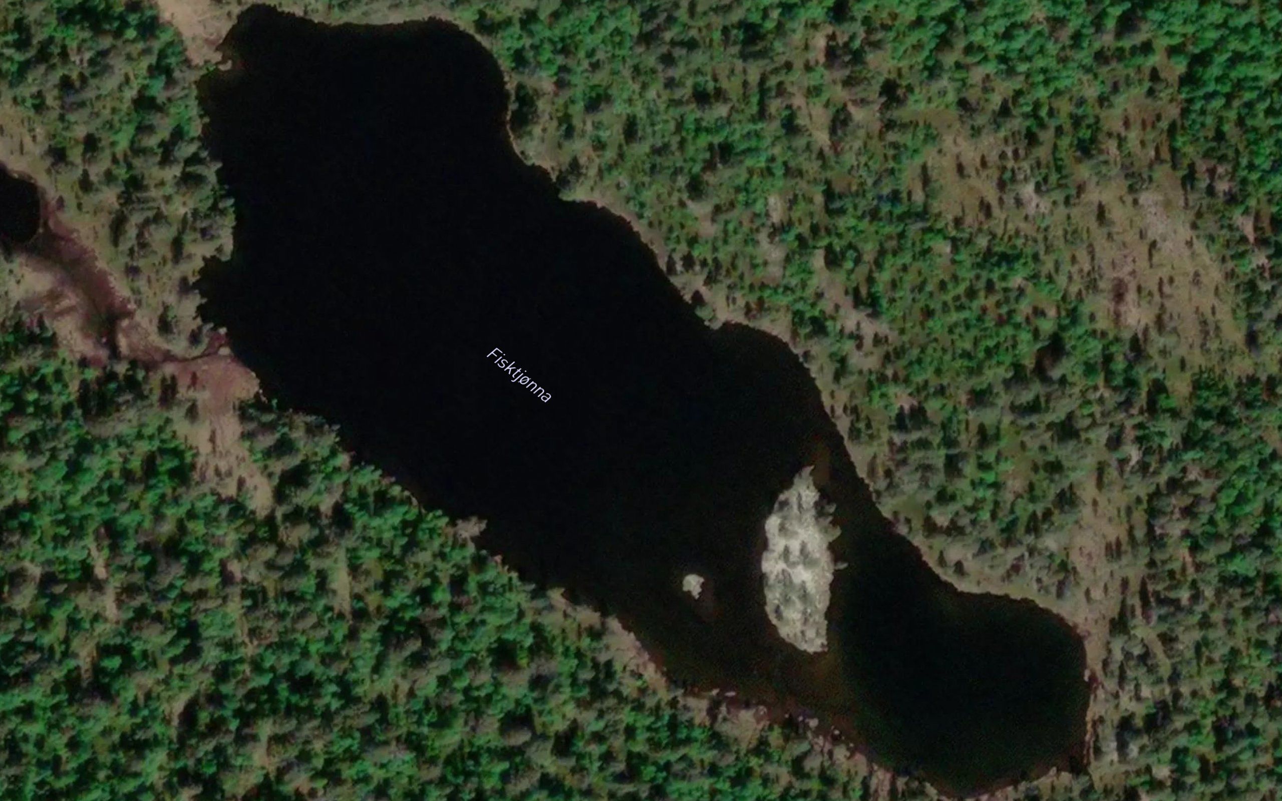 Fisktjonna