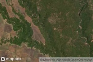 Amilpa