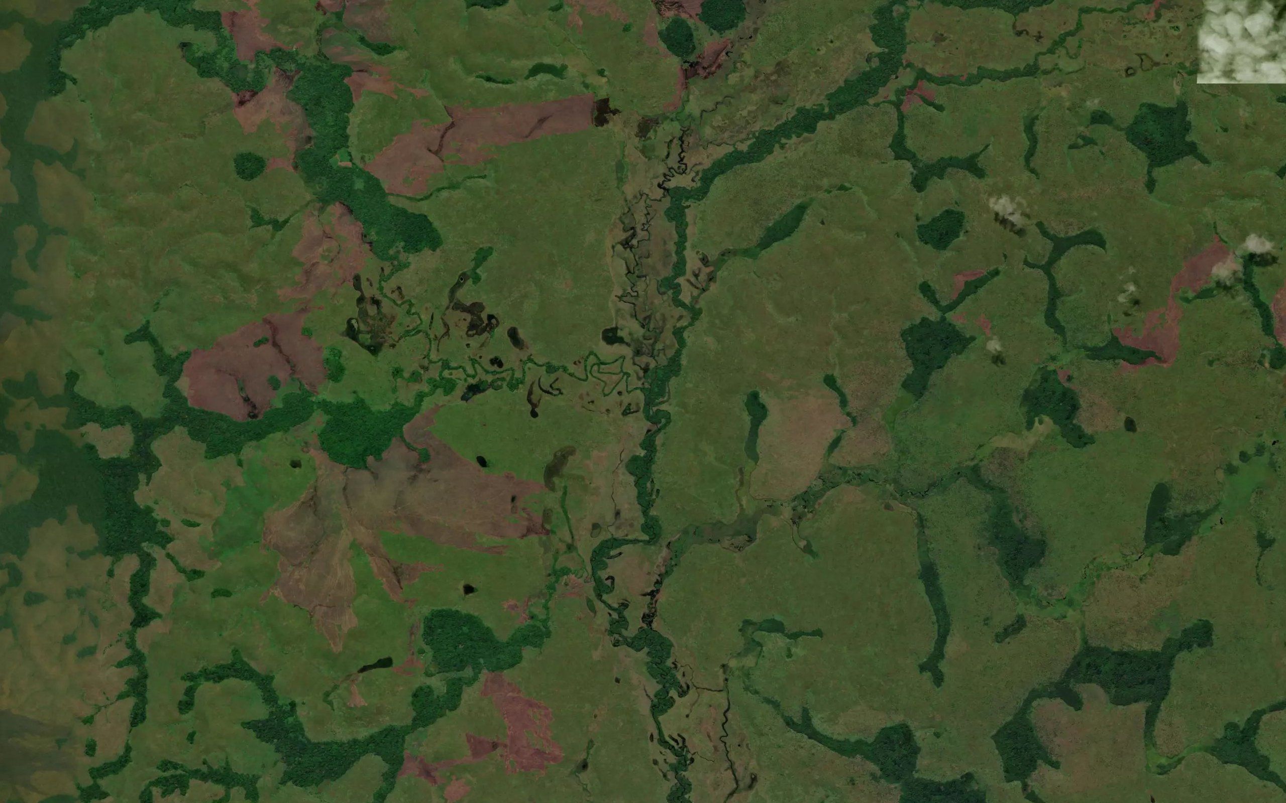 Quibonda