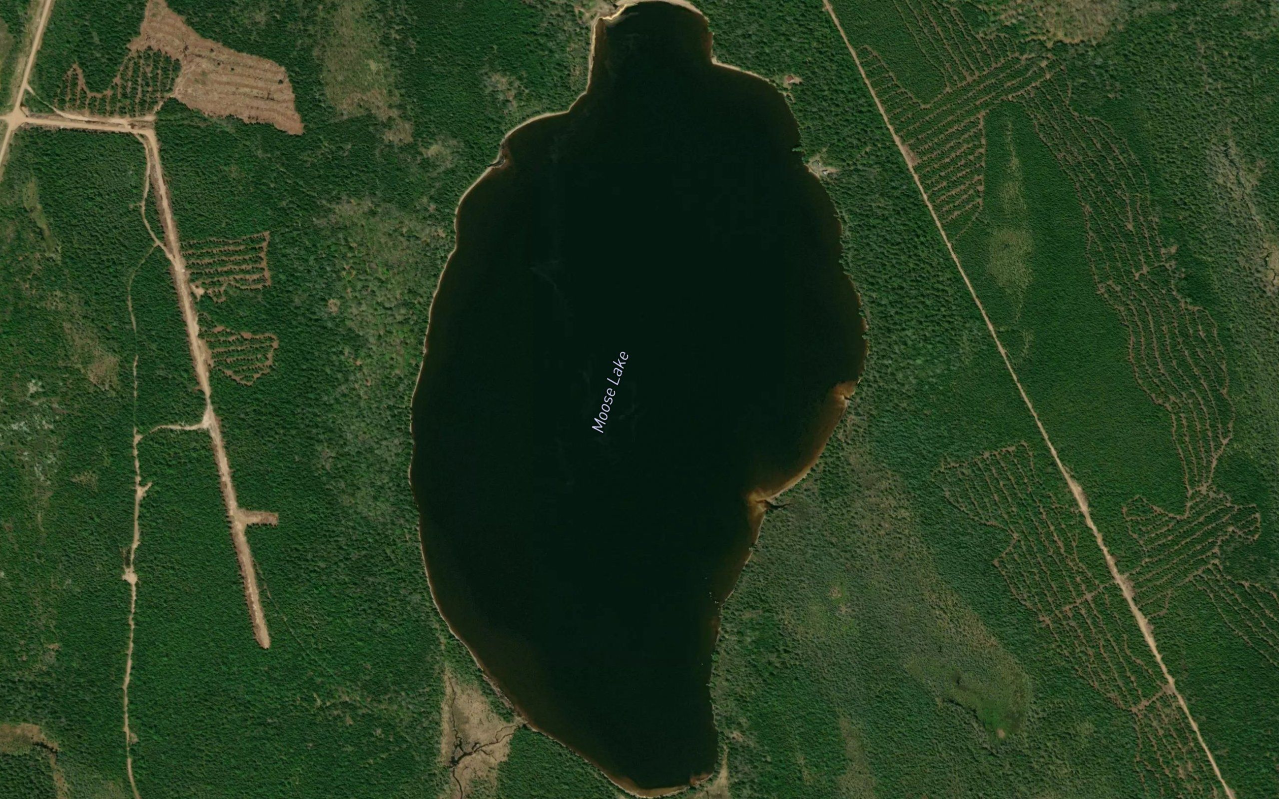 Moose Lake