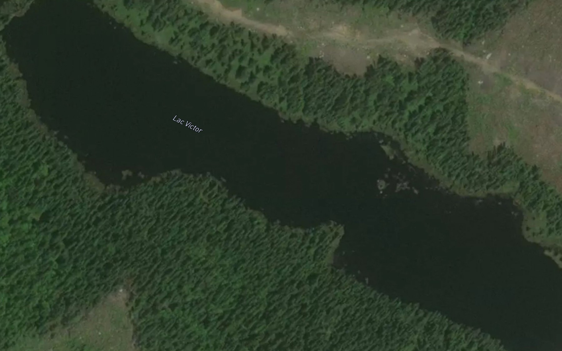 Satellite map of the Lac Victor