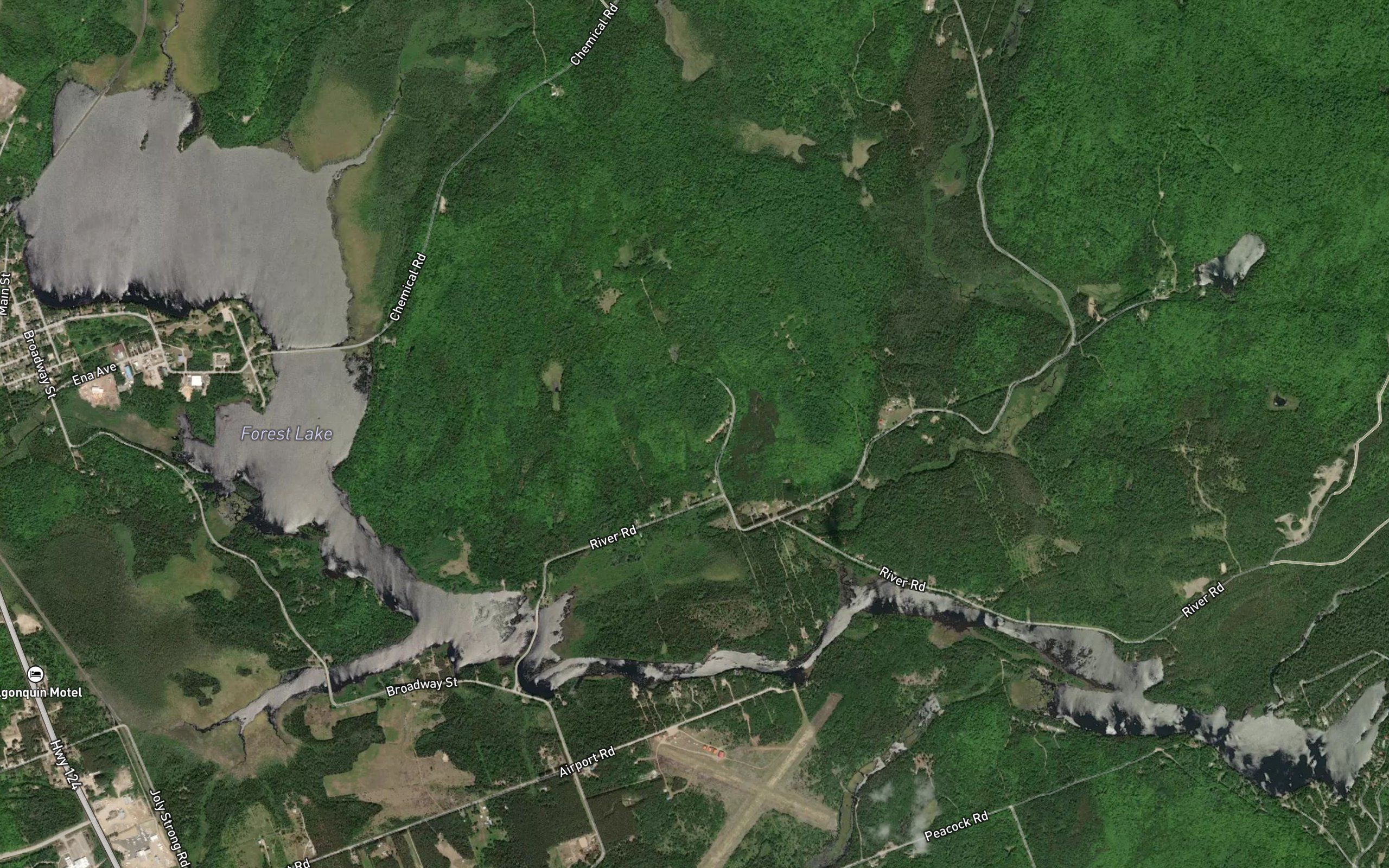 Forest Lake