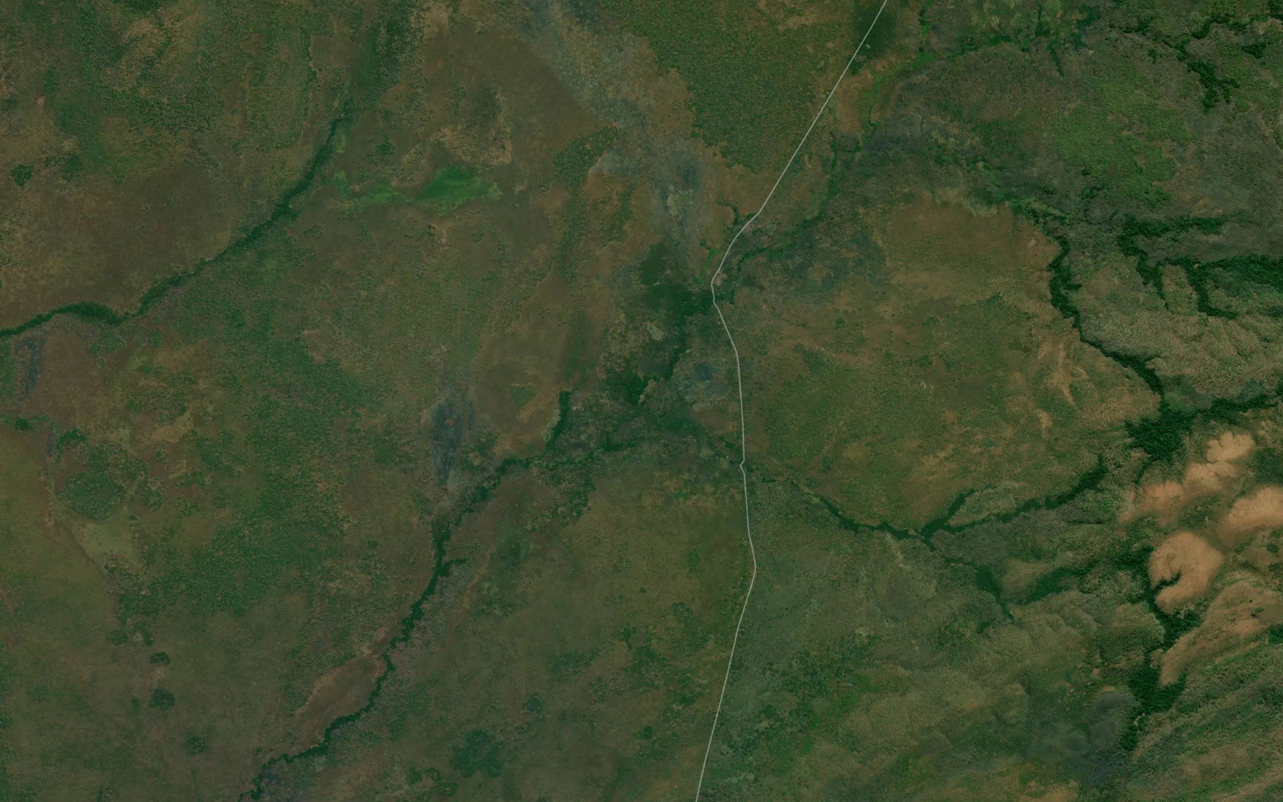 Punji