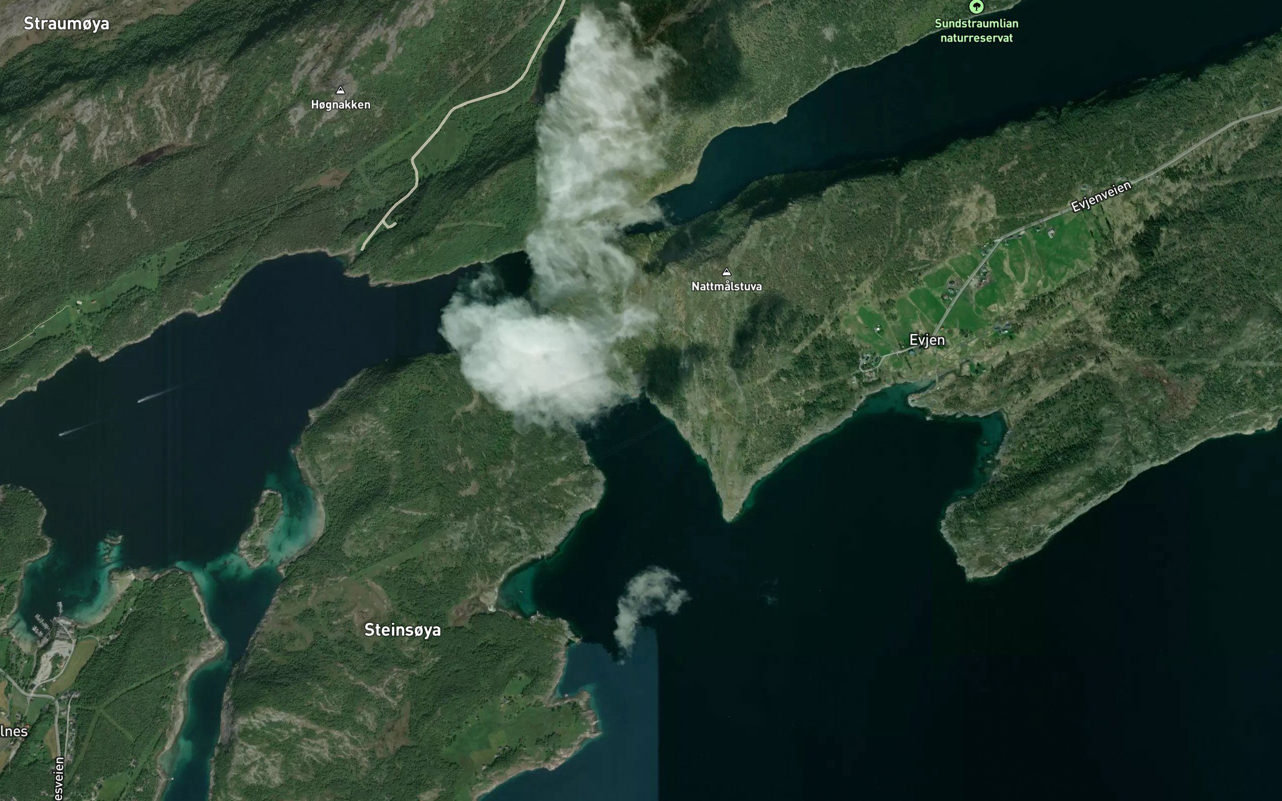 Gyltvika