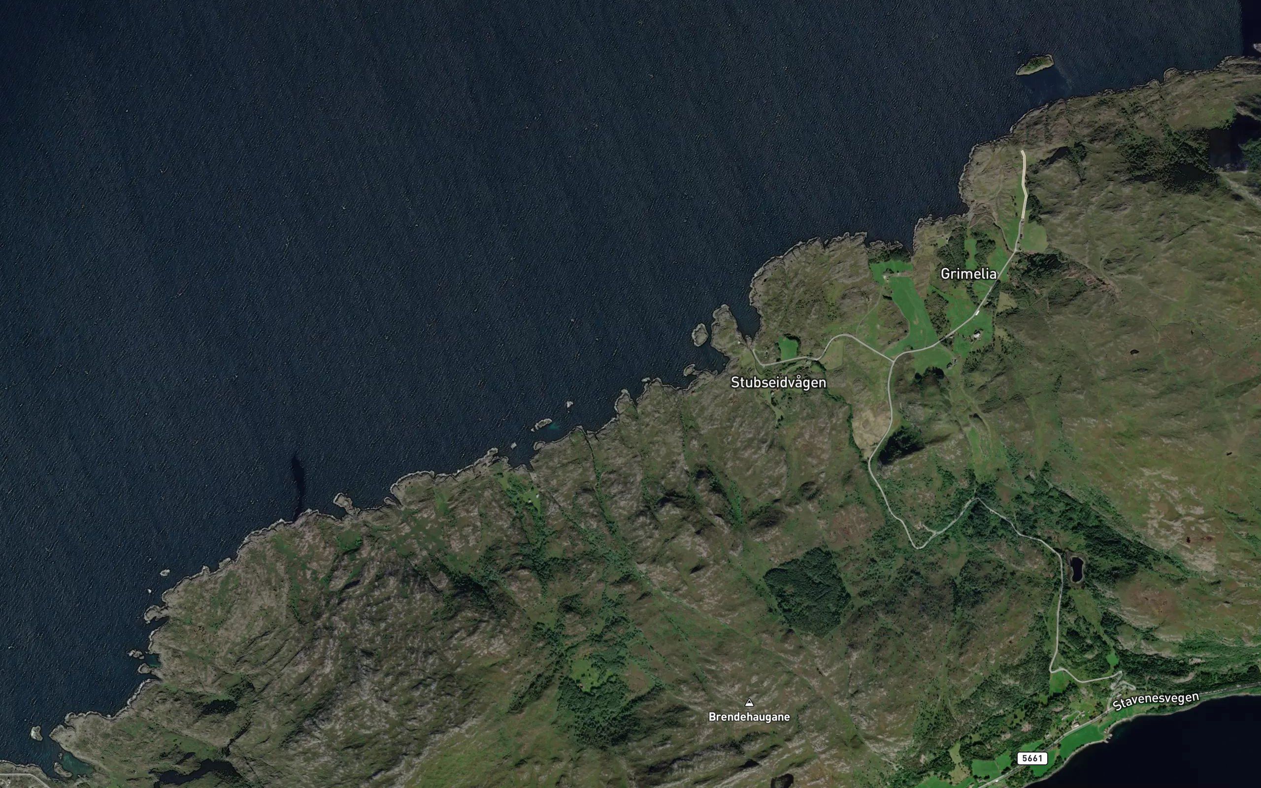 Jektevika