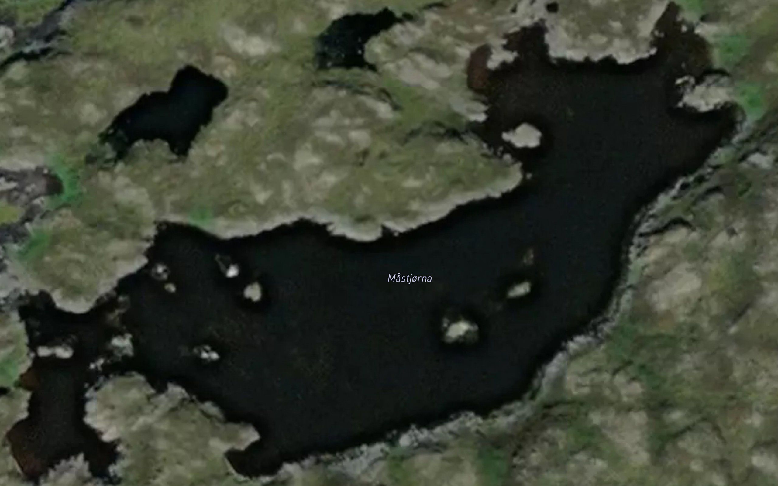 Mastjorna