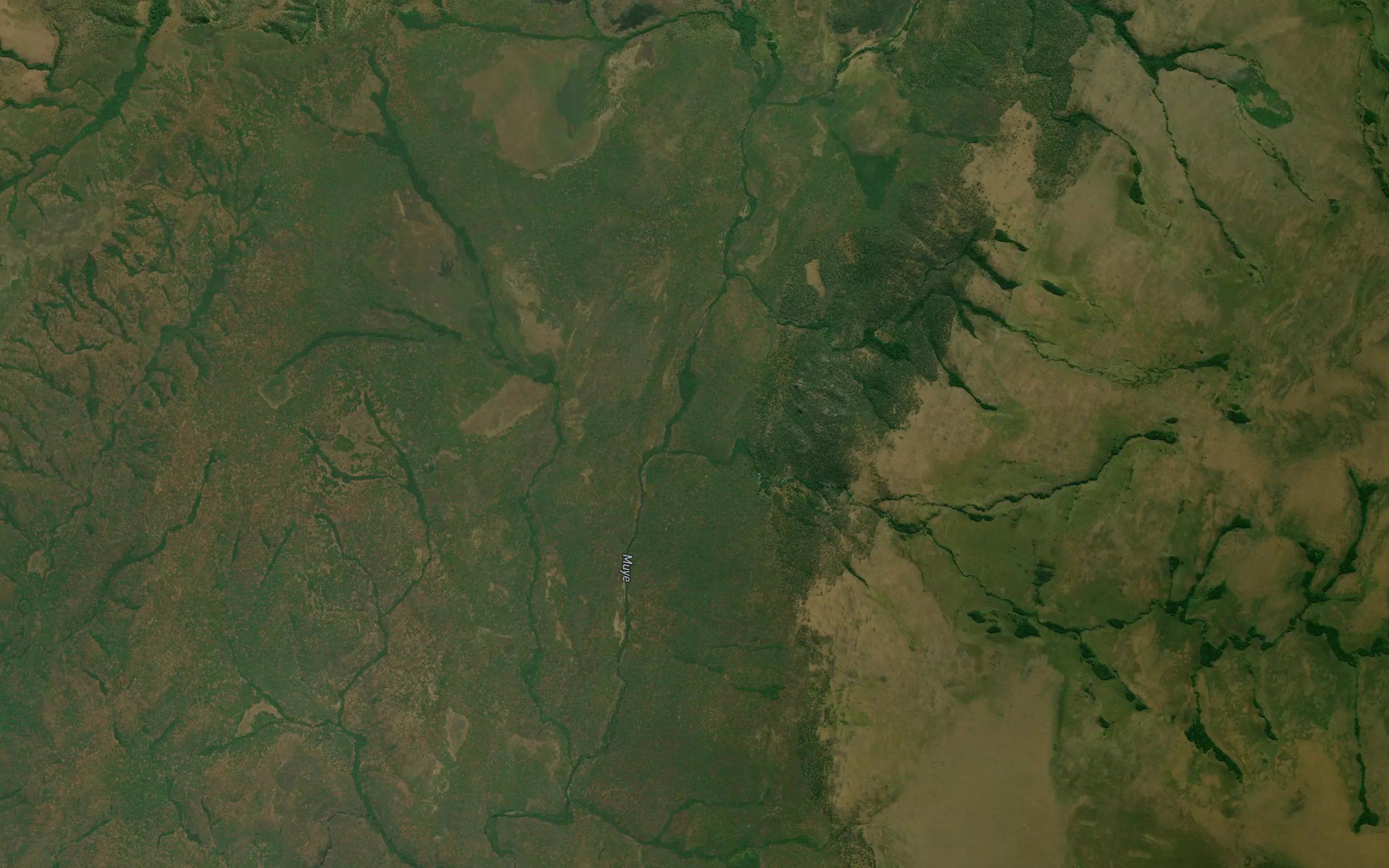 Buye Bala