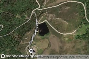 Raudbergstultjorni