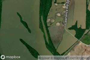 Swan Pond