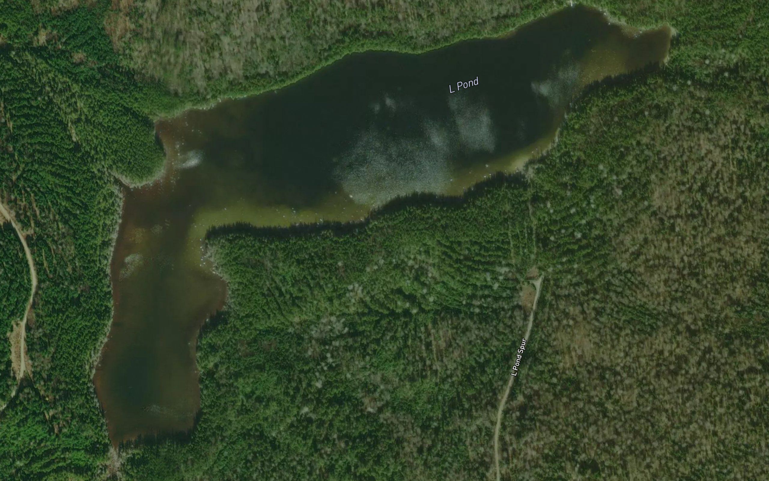 L Pond