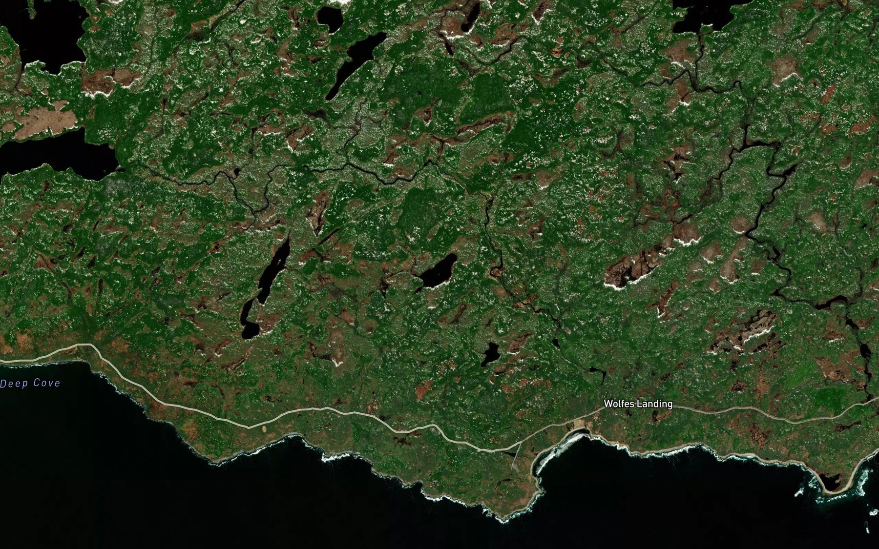 Satellite map of the Munroe Lake
