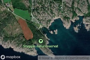 Odegardsbukta