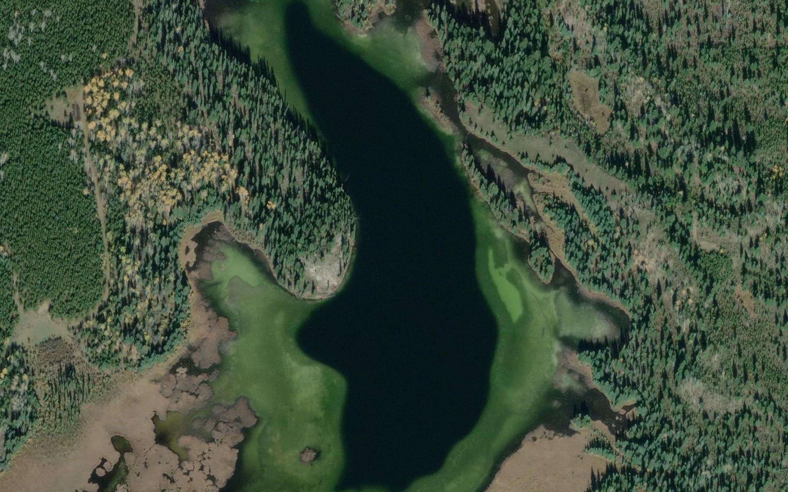 Whitestone Lake
