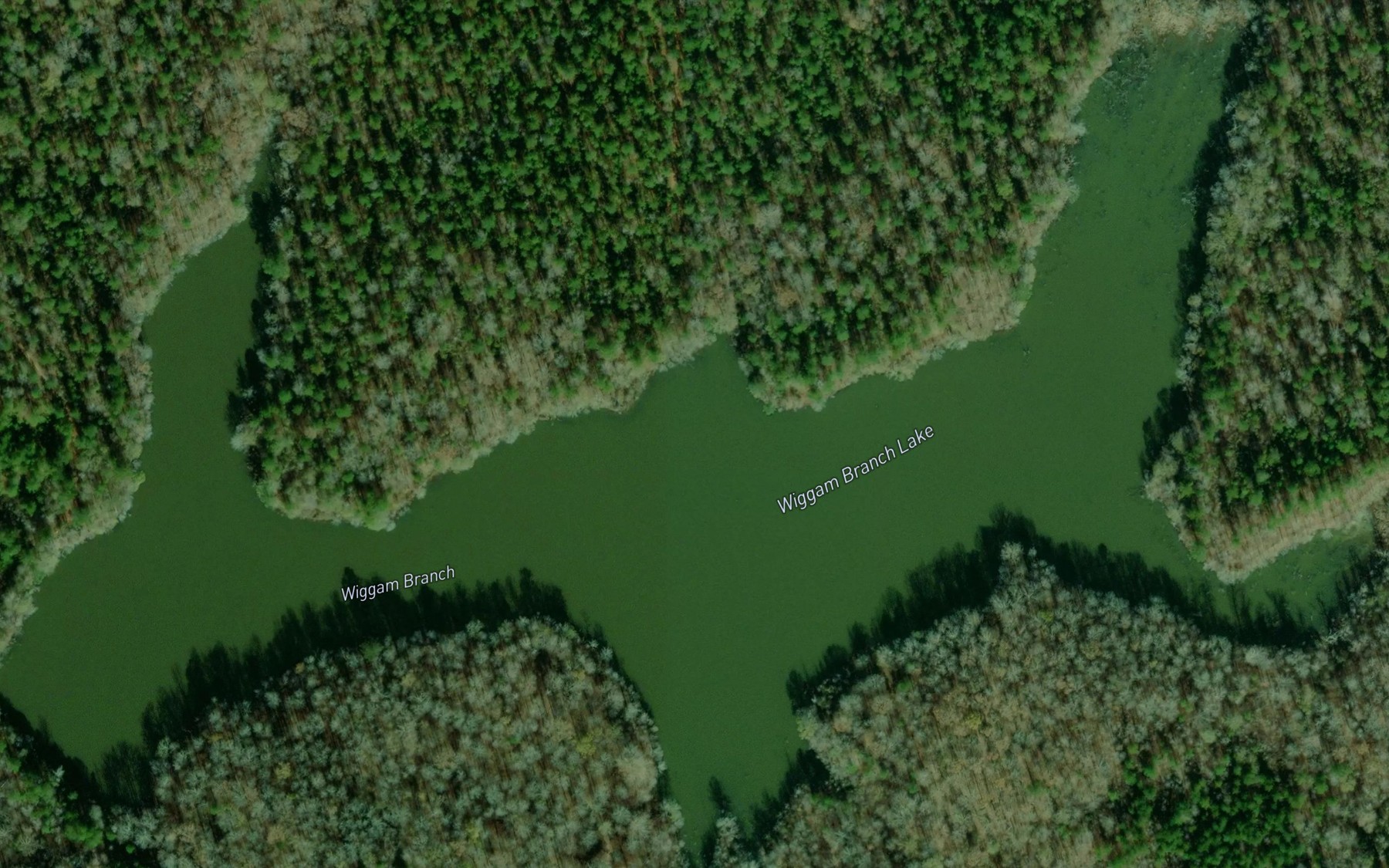Satellite map of the Wiggam Branch Lake