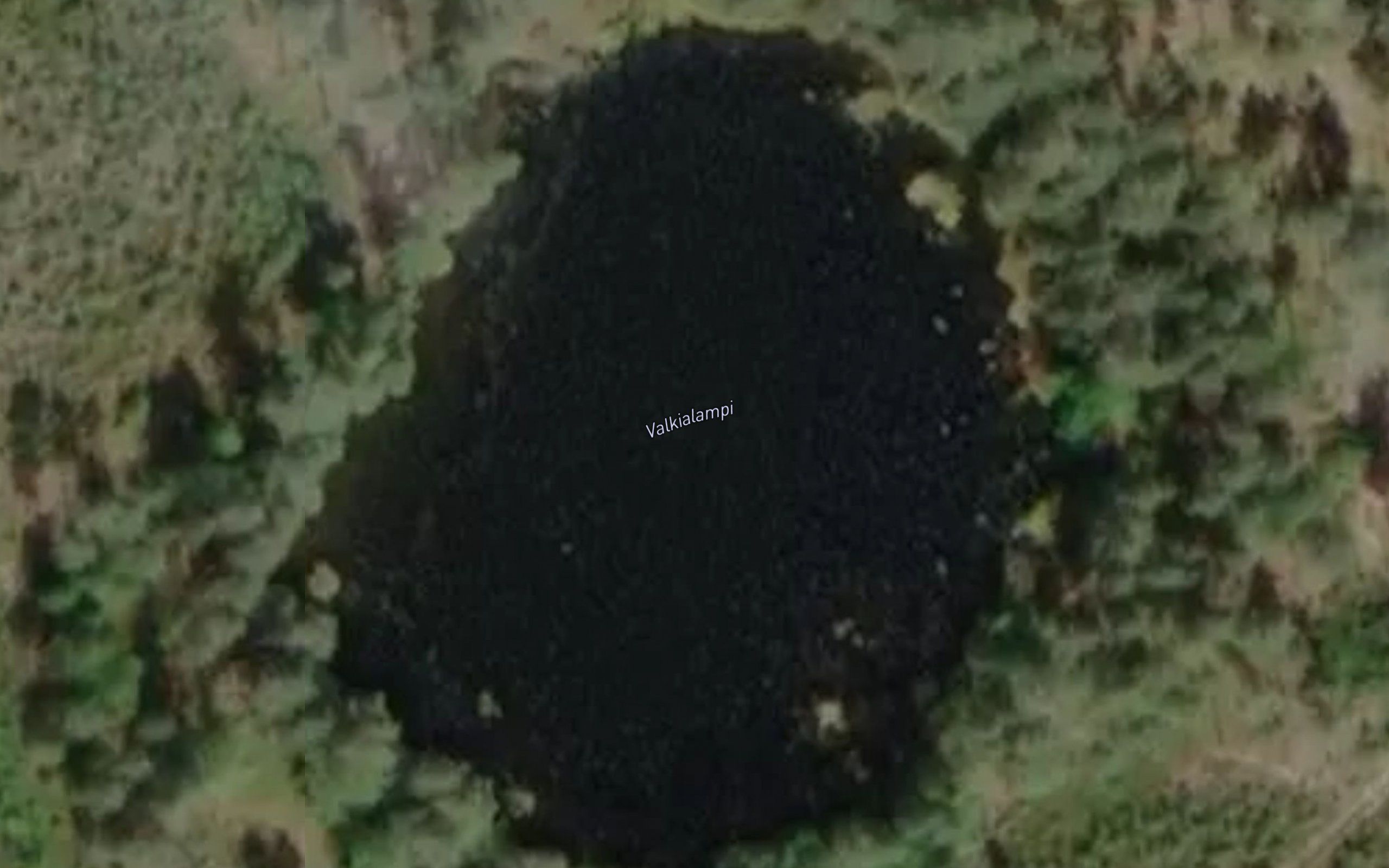 Valkialampi