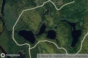 Lac Tic