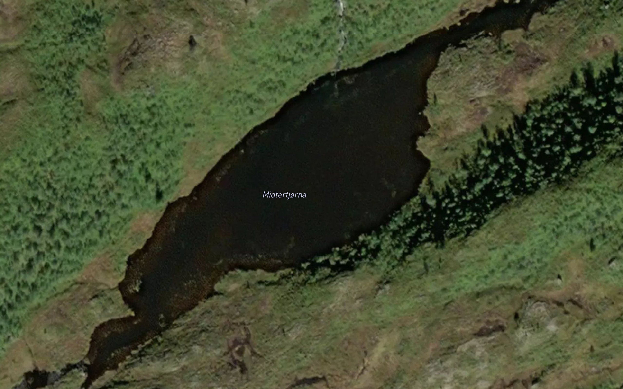 Midtertjorna