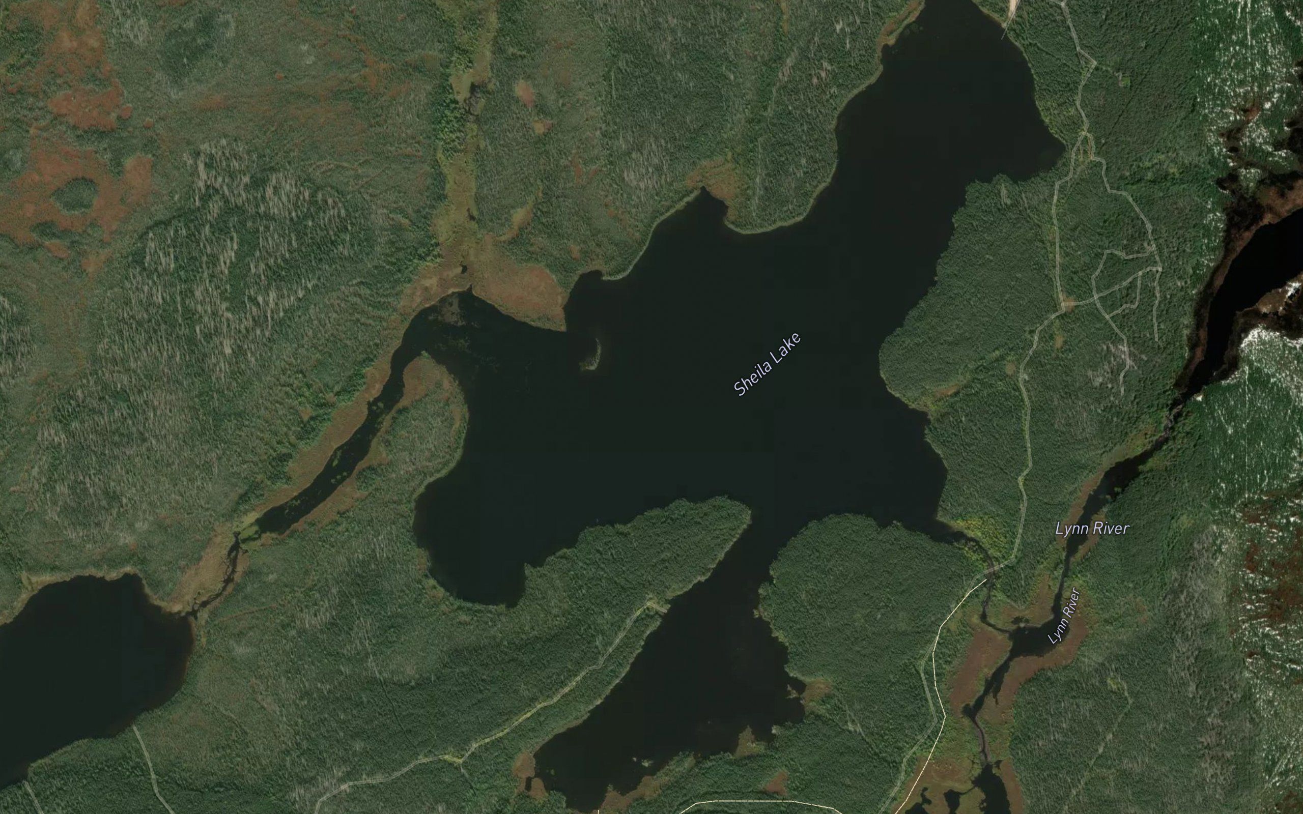 Sheila Lake