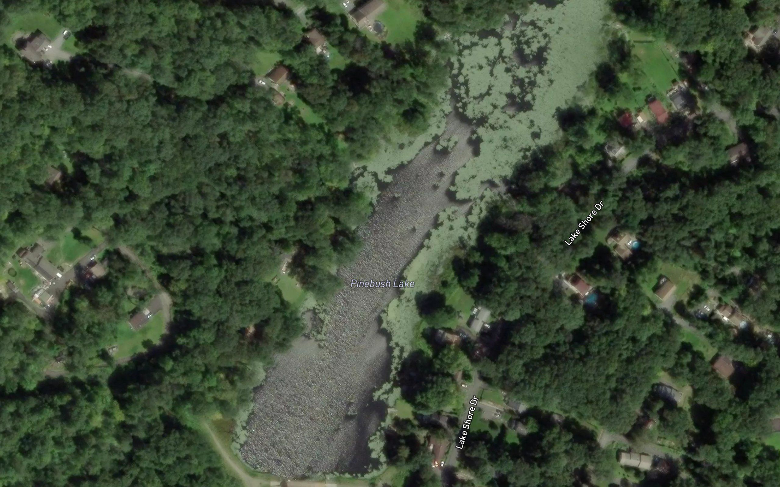 Pinebush Lake