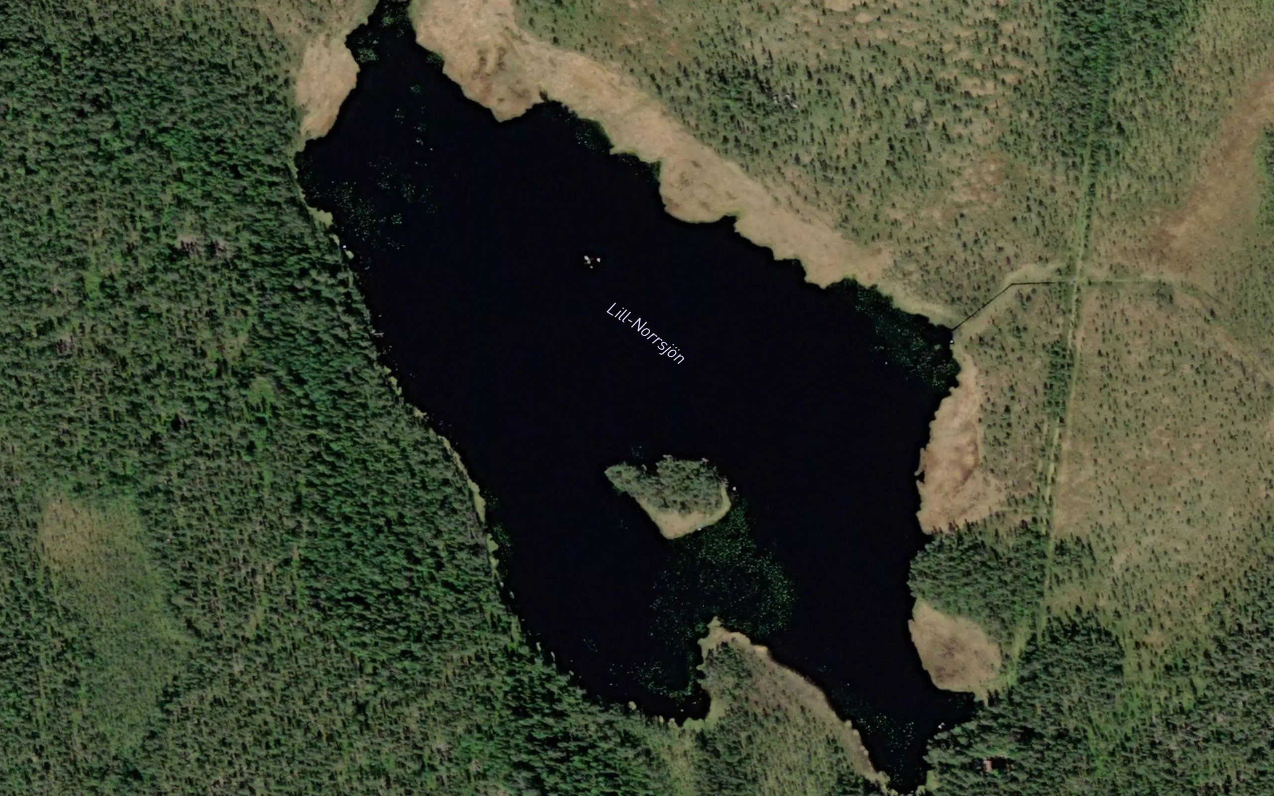 Ostra Nassjon