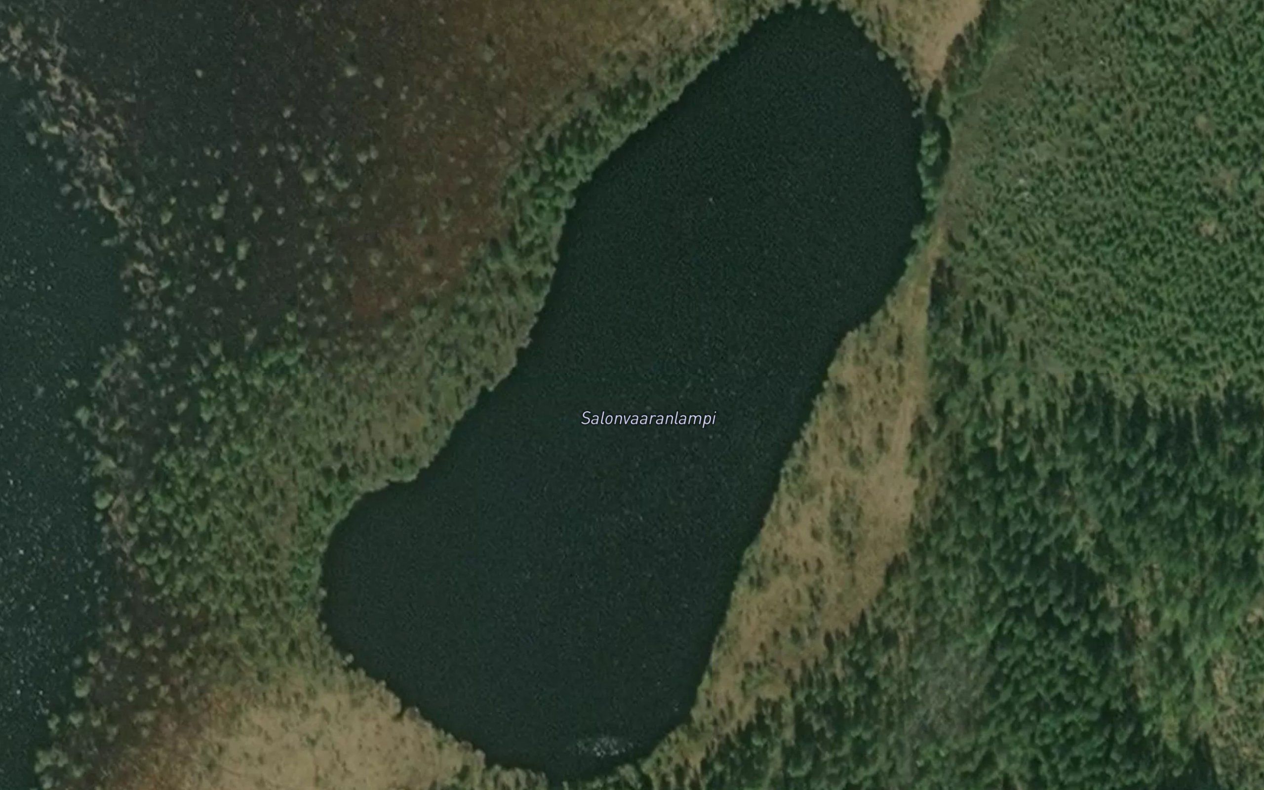 Salonvaaranlampi