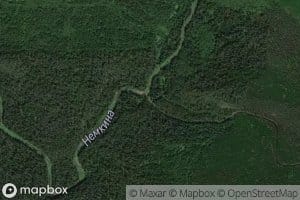 Nemkina-Mokrushinskaya