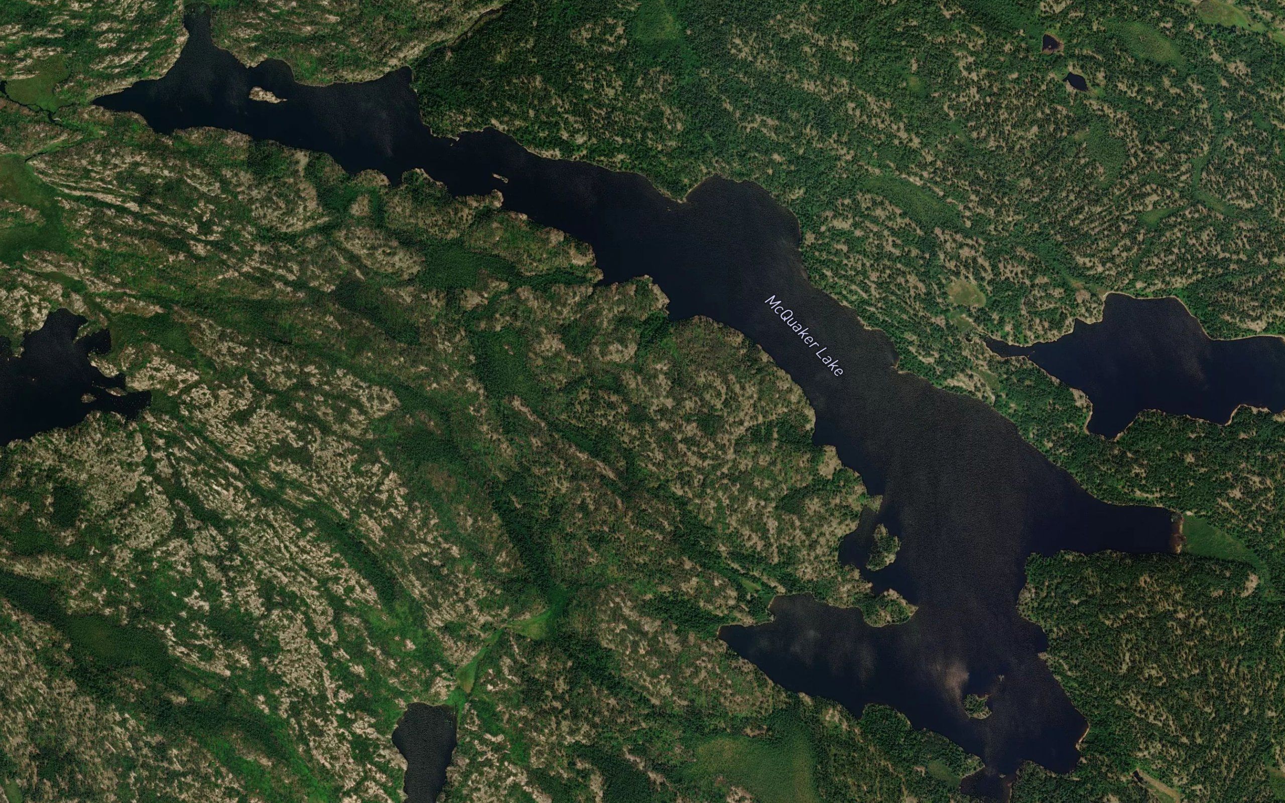 McQuaker Lake