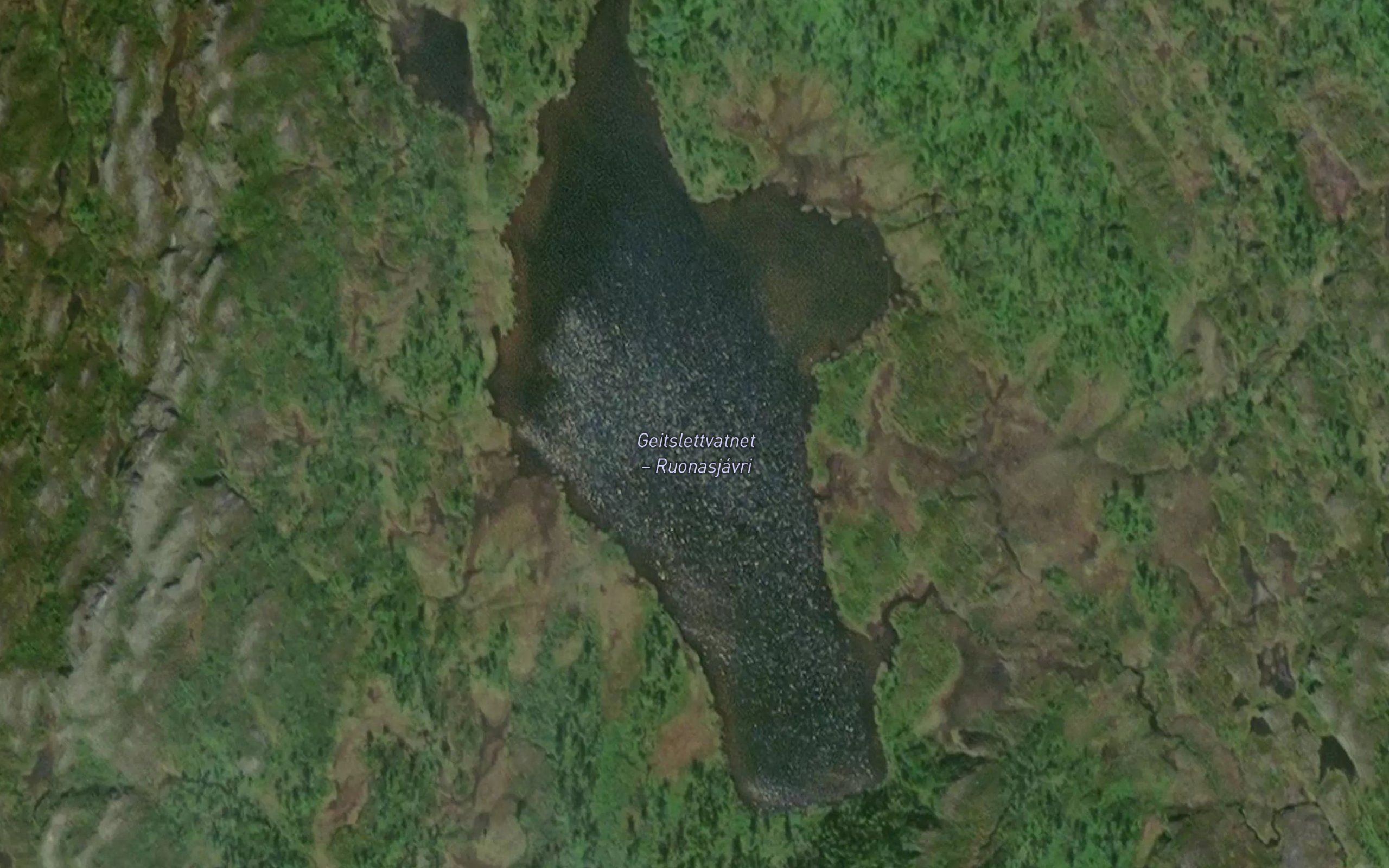 Ruonasjavri