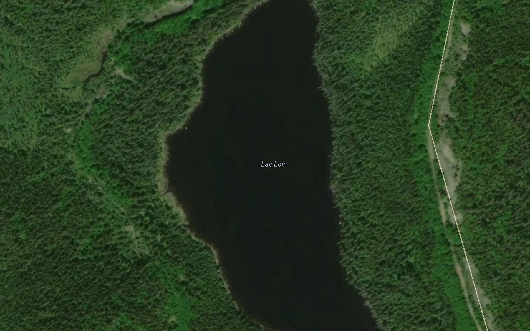 Satellite map of the Lac Loin