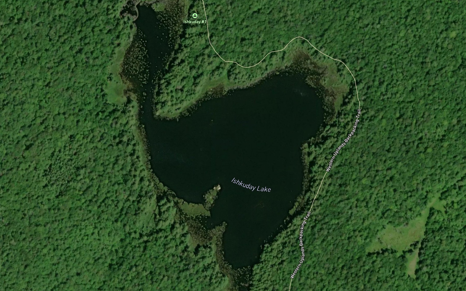 Satellite map of the Ishkuday Lake