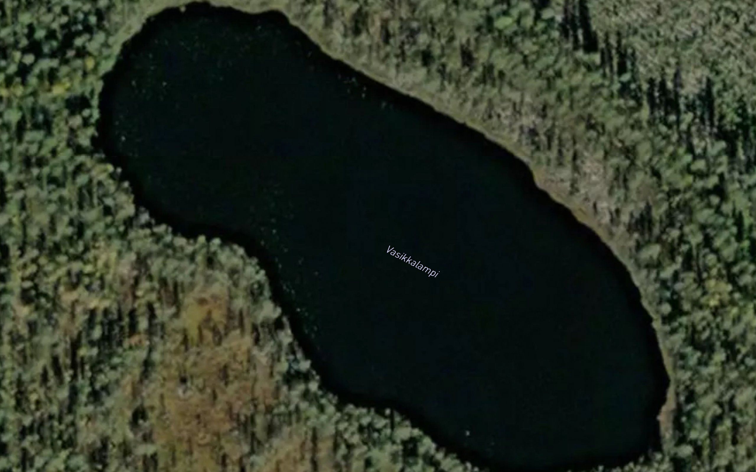 Vasikkalammit