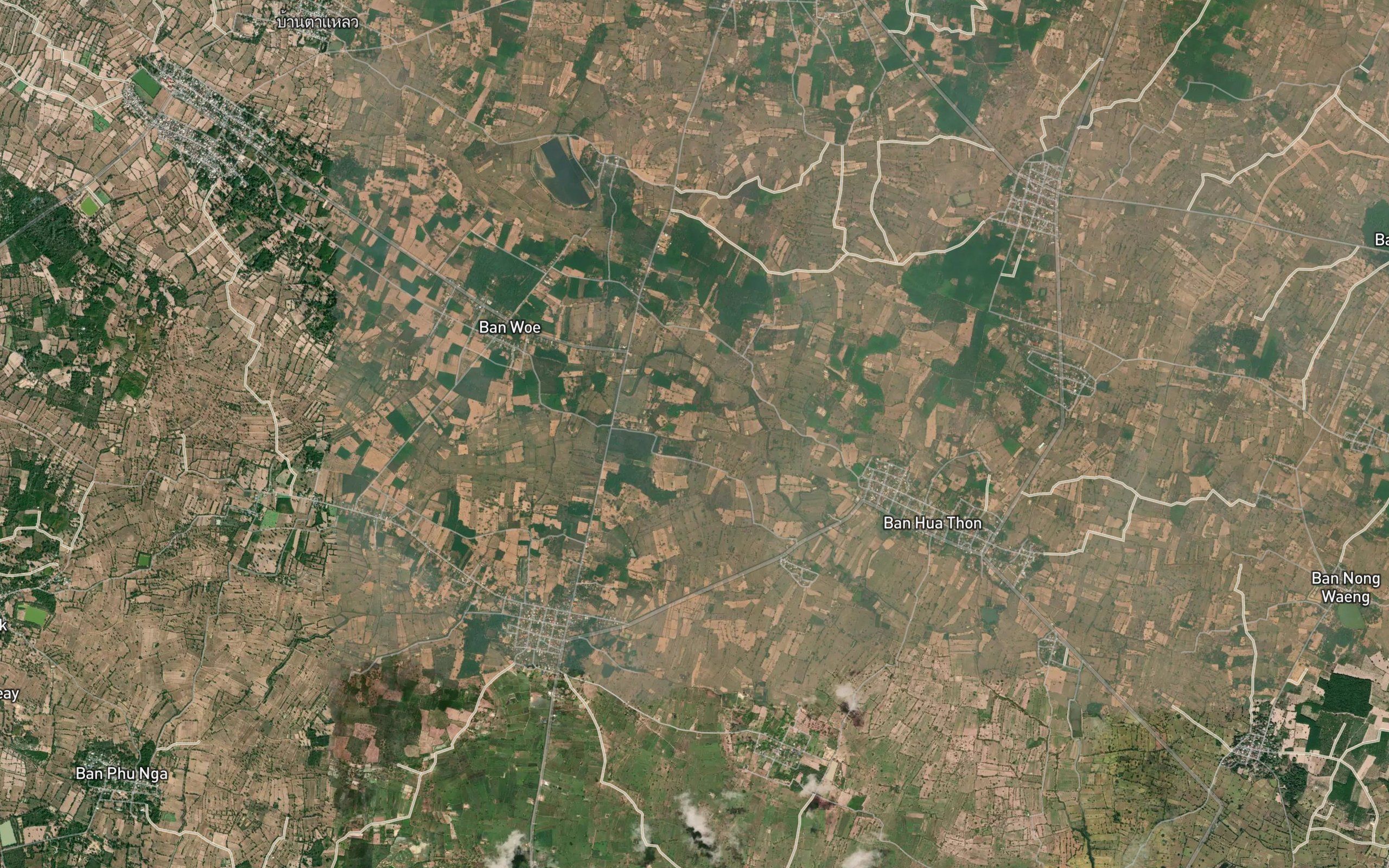 Nong Yang