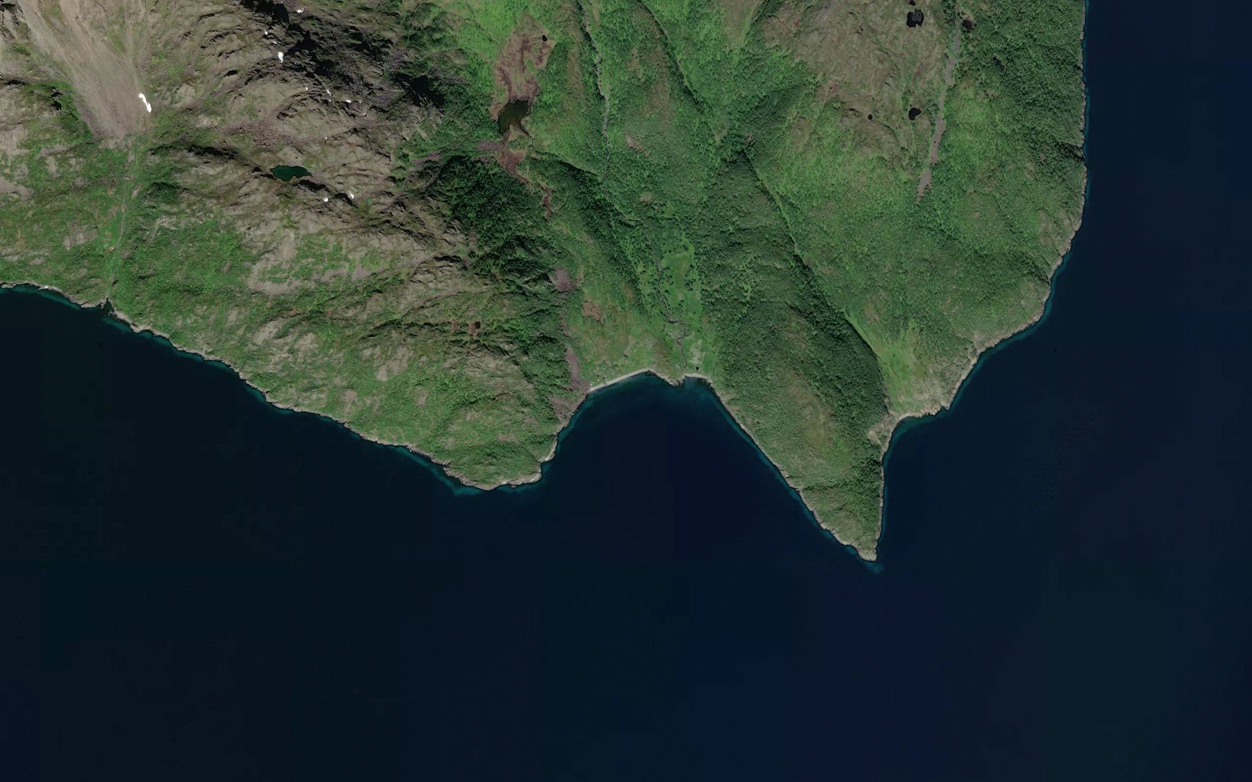 Hallvardvika