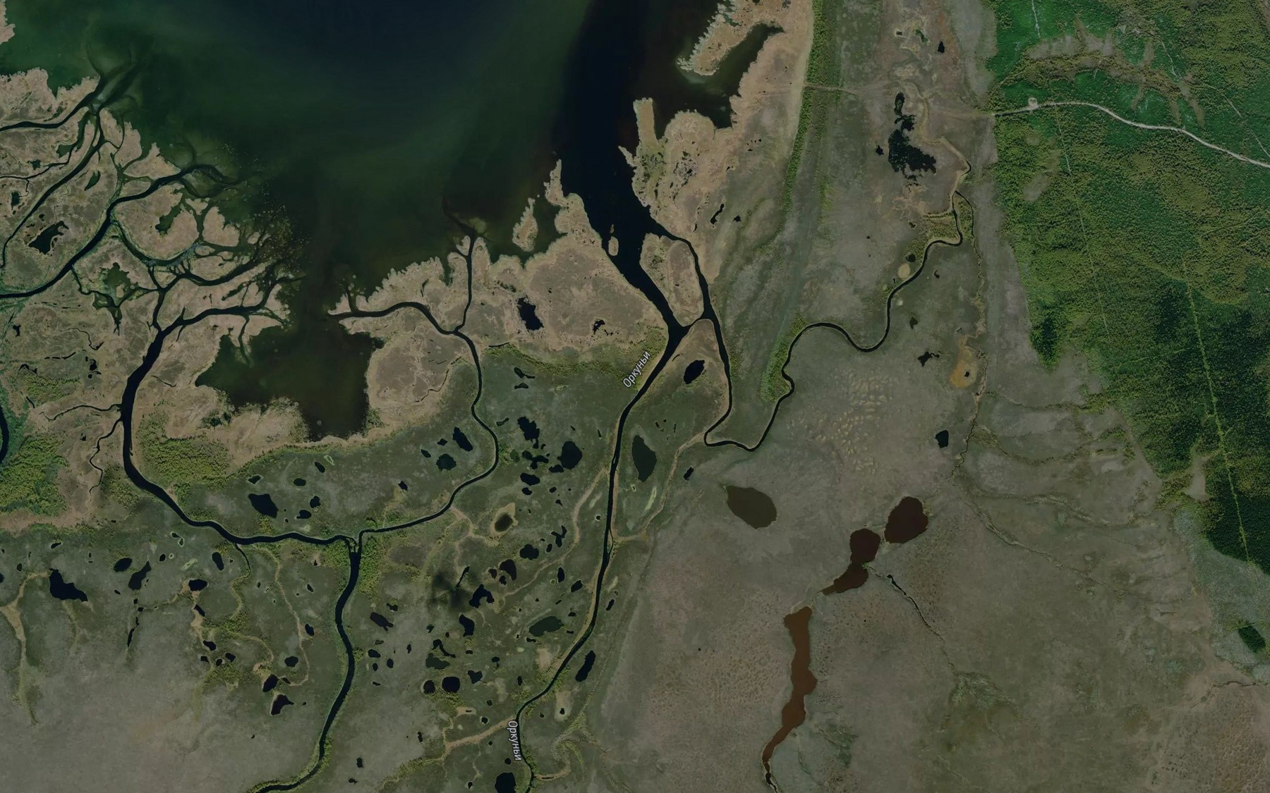 Satellite map of the Orkut'i