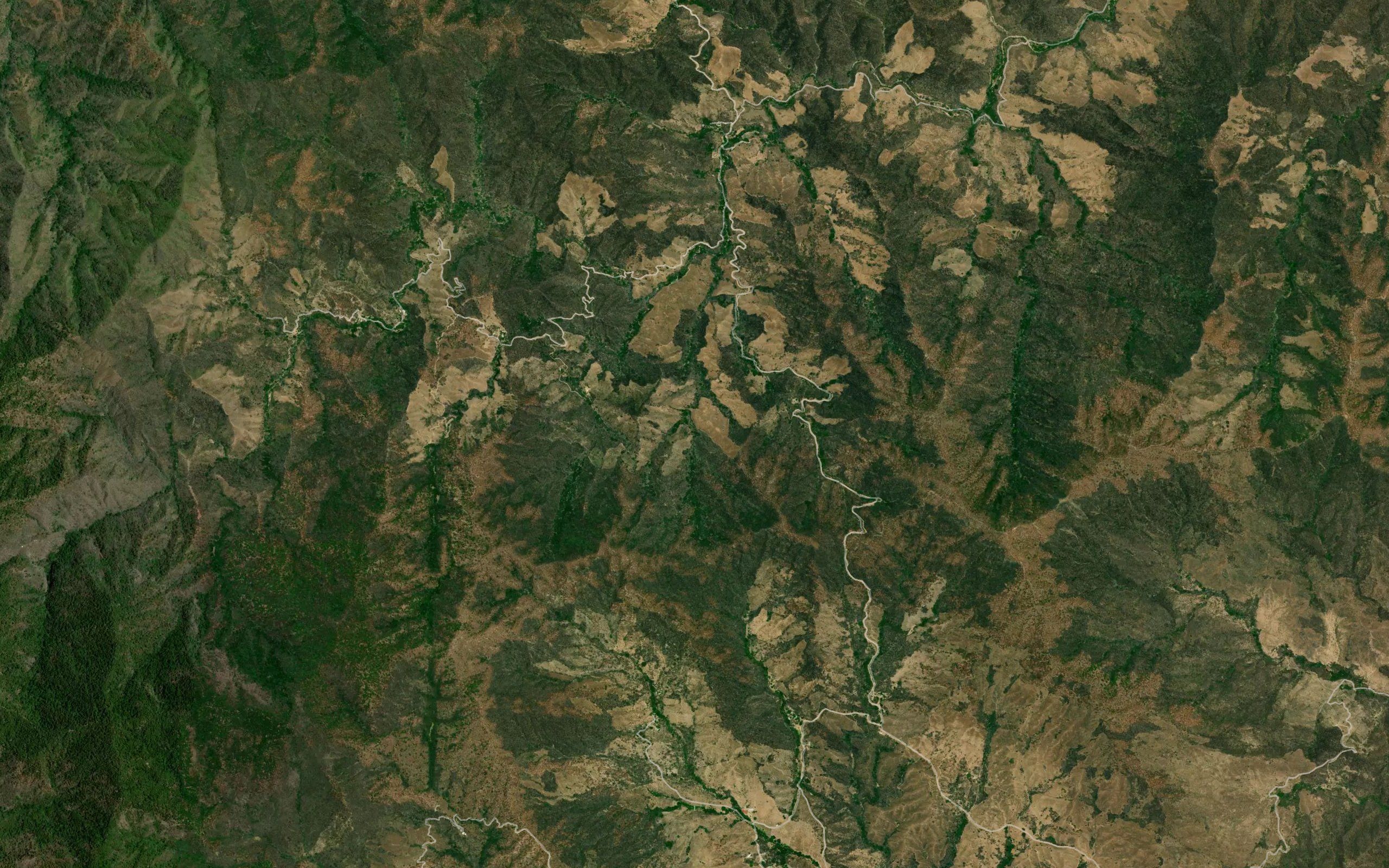 Barranca Sangualica