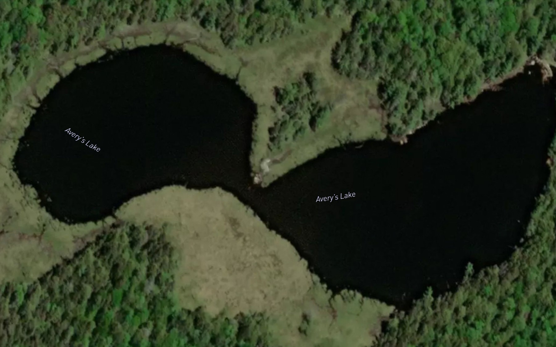 Satellite map of the Avery's Lake