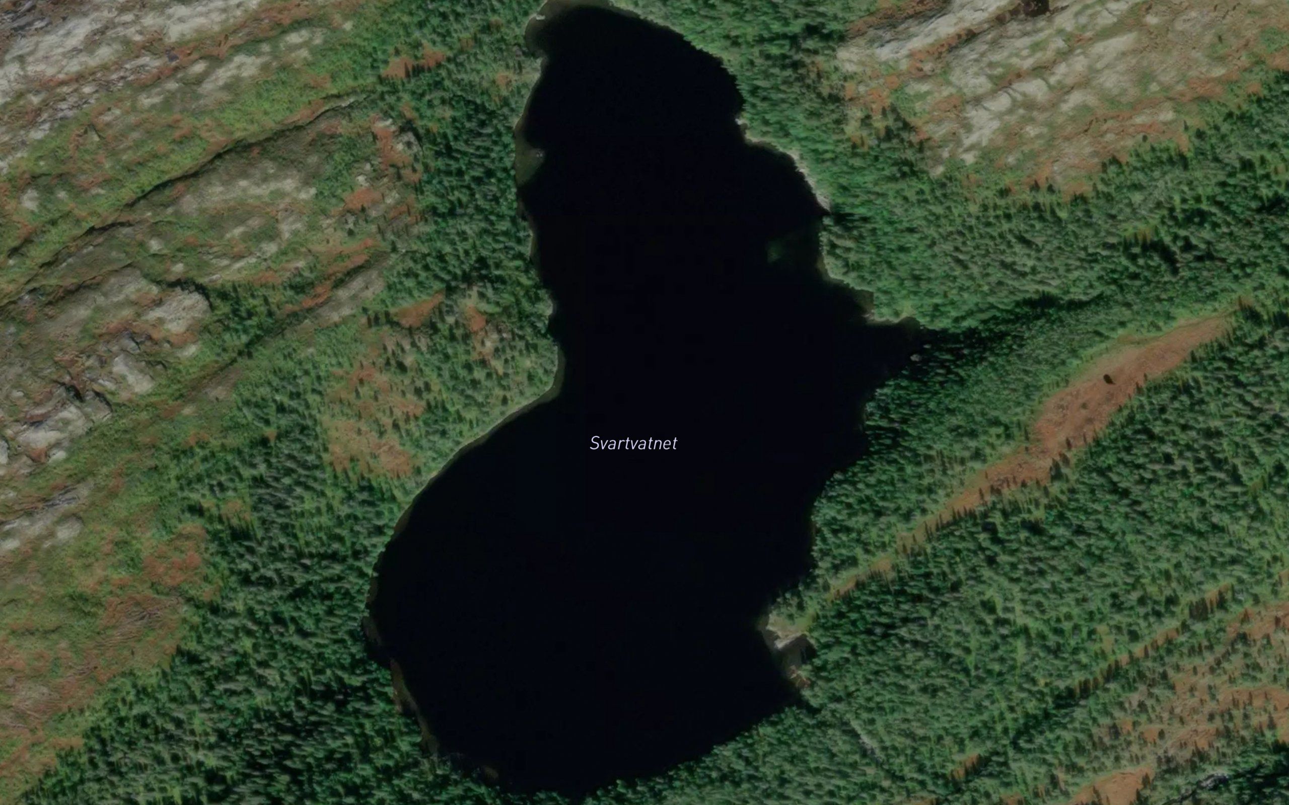 Svartvatnet